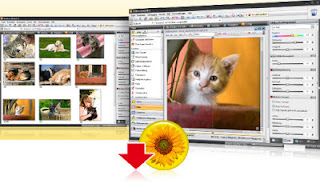  StudioLine Photo Basic 3 تحميل برنامج تعديل الصور والكتابة عليها