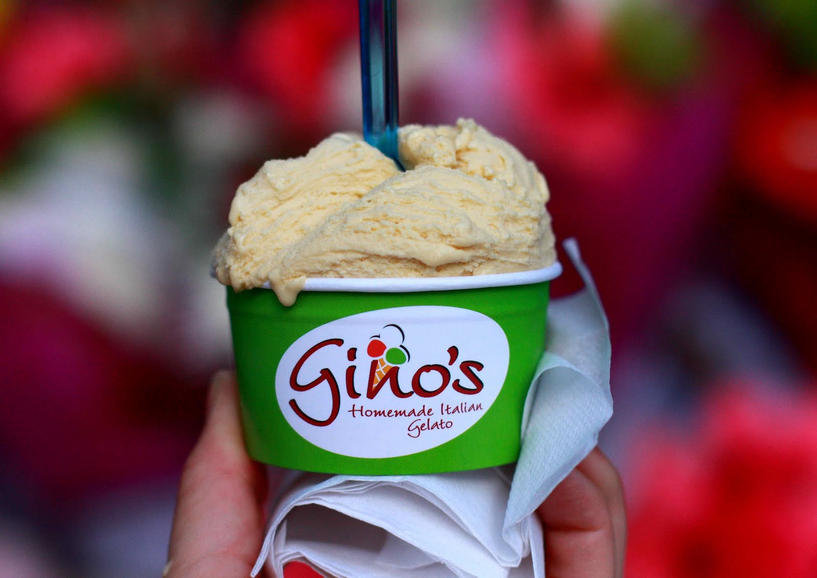 Survival Guide Dublin with Food Allergies Gino’s Handmade Italian