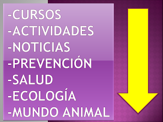 CURSOS