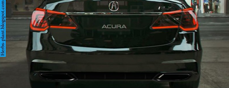 Acura rlx car 2014 exhaust - صور شكمان سيارة اكورا ار ال اكس 2014 Acura rlx car 2014 exhaust - صور شكمان سيارة اكورا ار ال اكس 2014