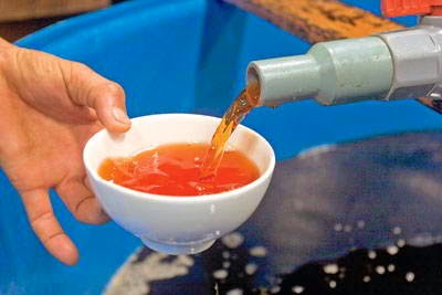Fish Sauce – a famous Vietnamese condiment