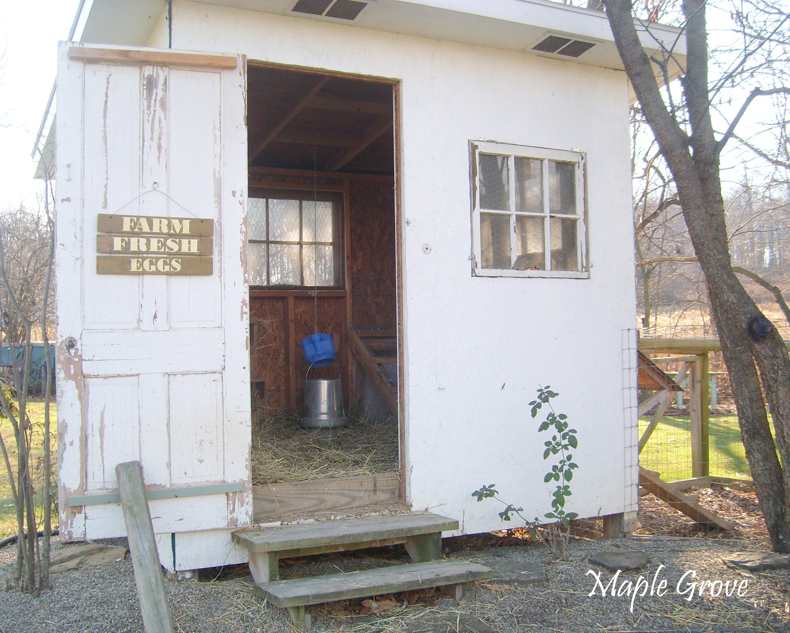 Maple Grove Cleaning the Hen House