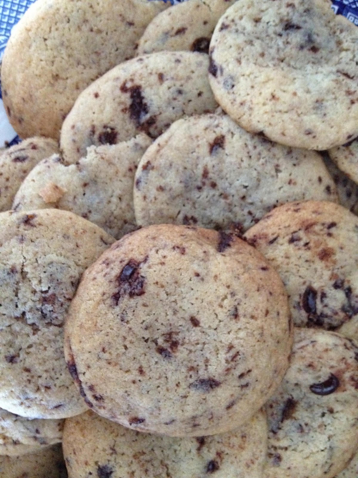 Knit Nat Guest Blogger Li'l Sis' Unsweetened Chocolate Chip Cookies