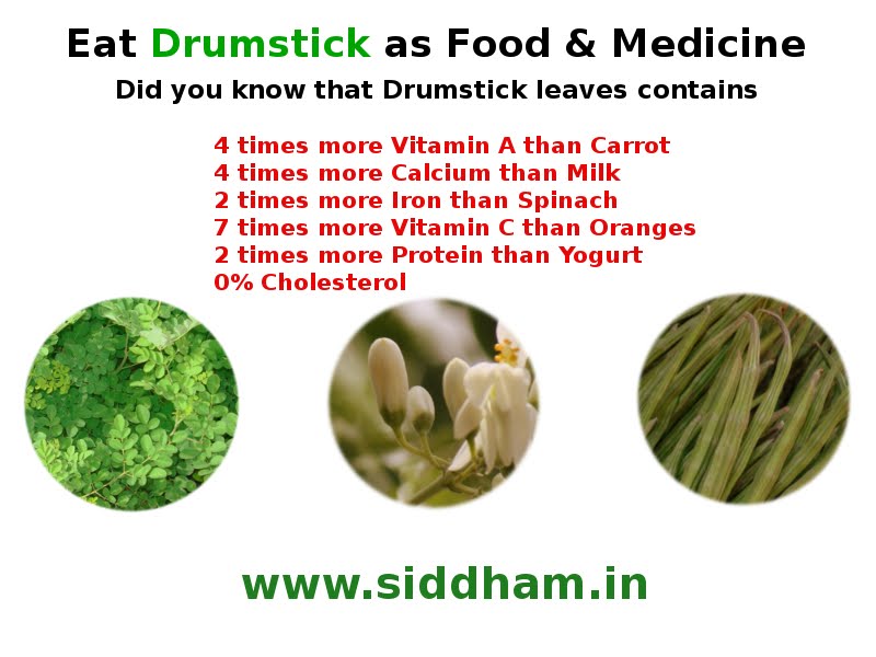 Drumstick Benefits