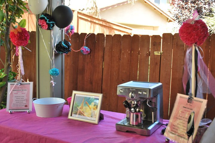 casa de sousa: French Theme Birthday Party