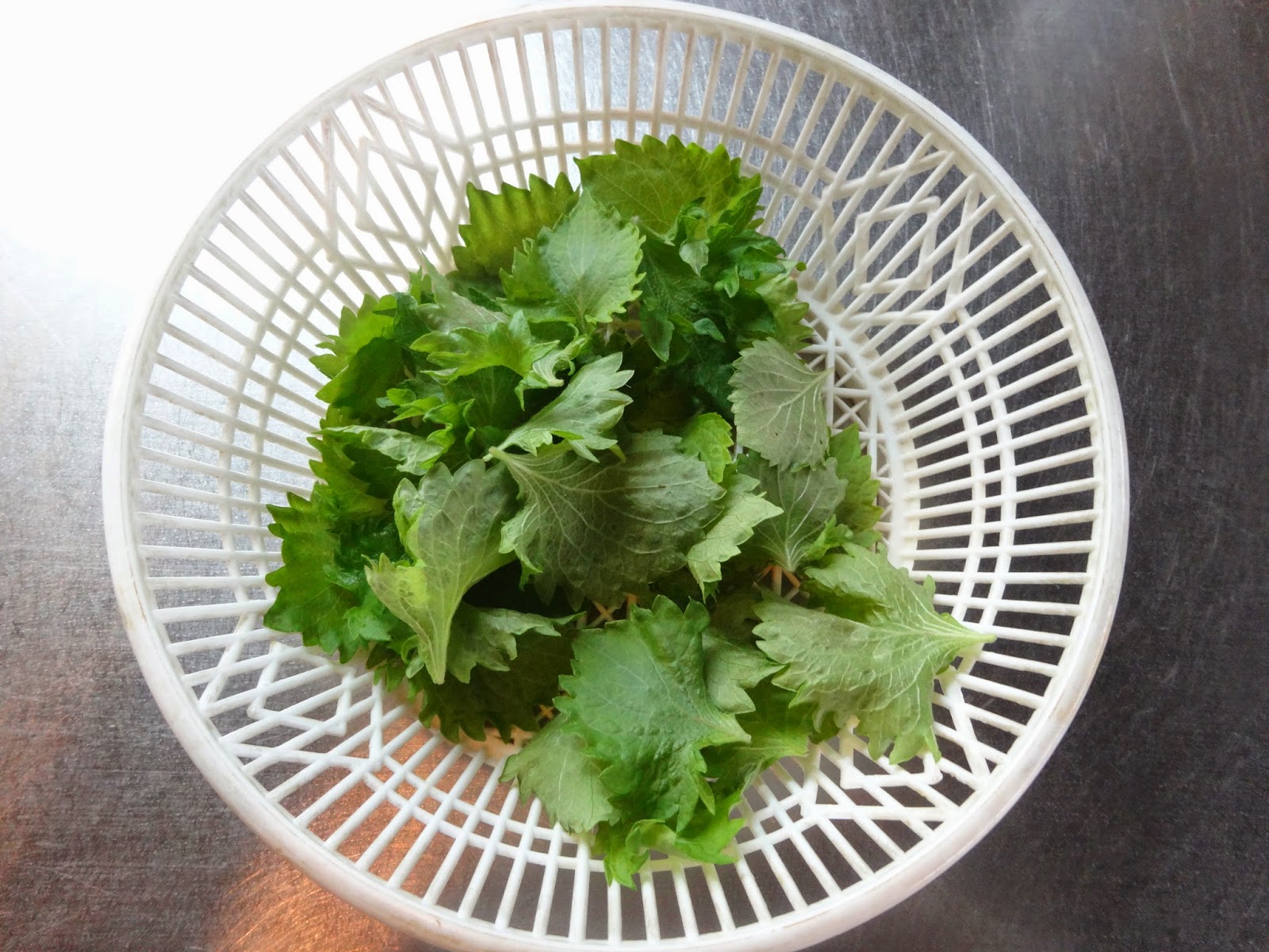 Japan, ein schönes Land Shiso Rezept Nr.1 (gerolltes Shiso)