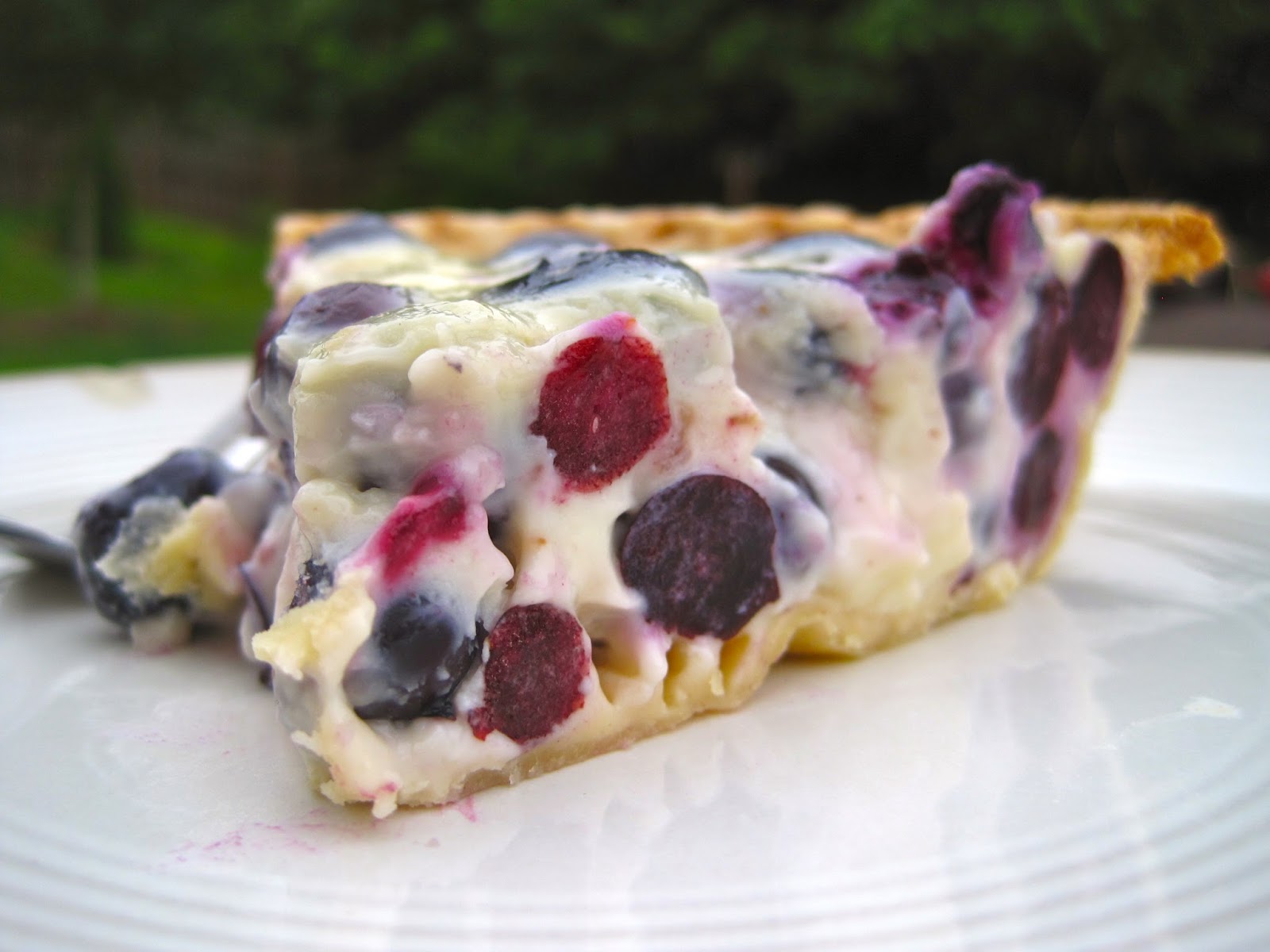 Alissamay's Sour Cream Blueberry Pie