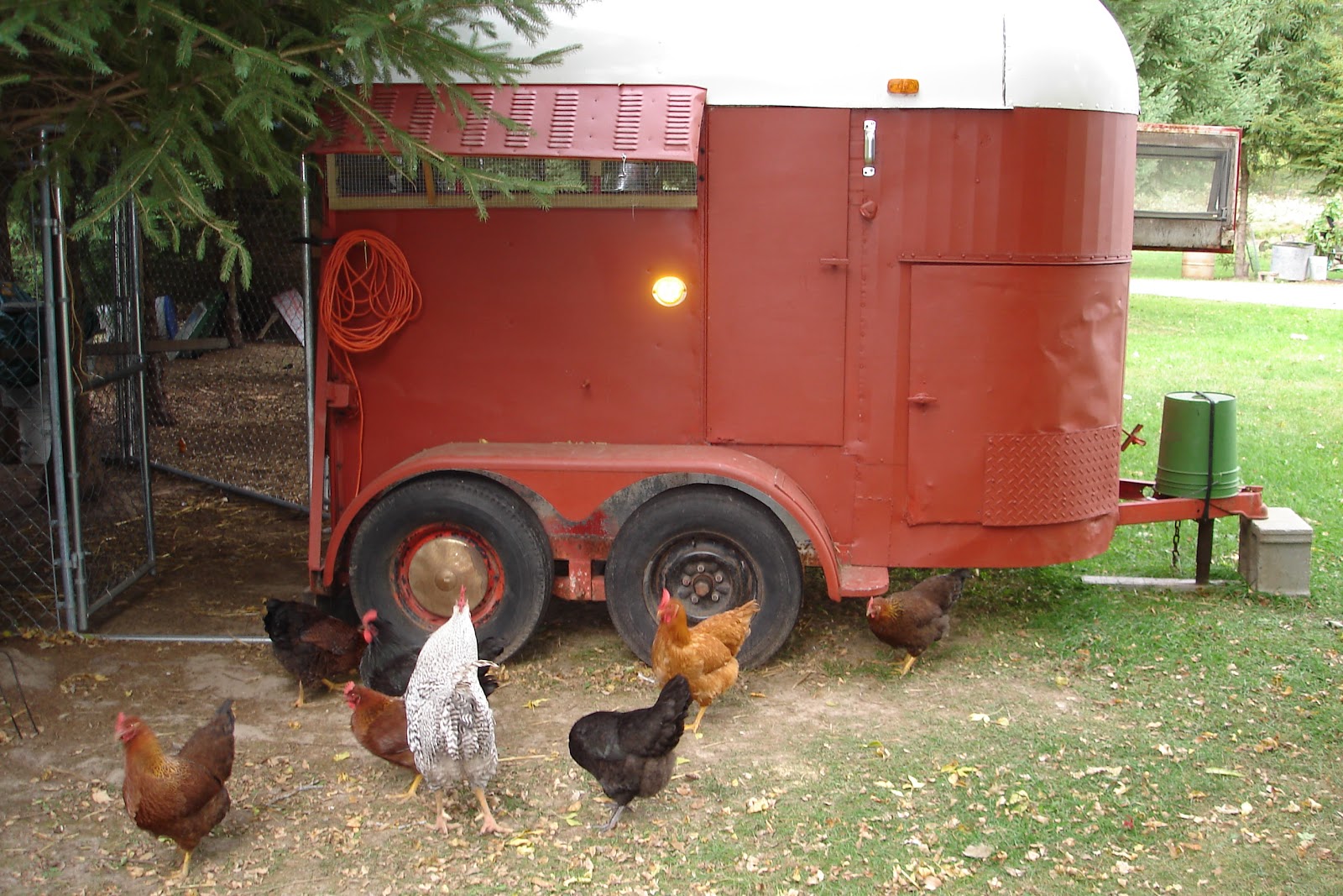 Cool Coops! Repurposed Trailer Coop Community Chickens
