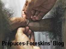 PRÉPUCES-FORESKINS' BLOG