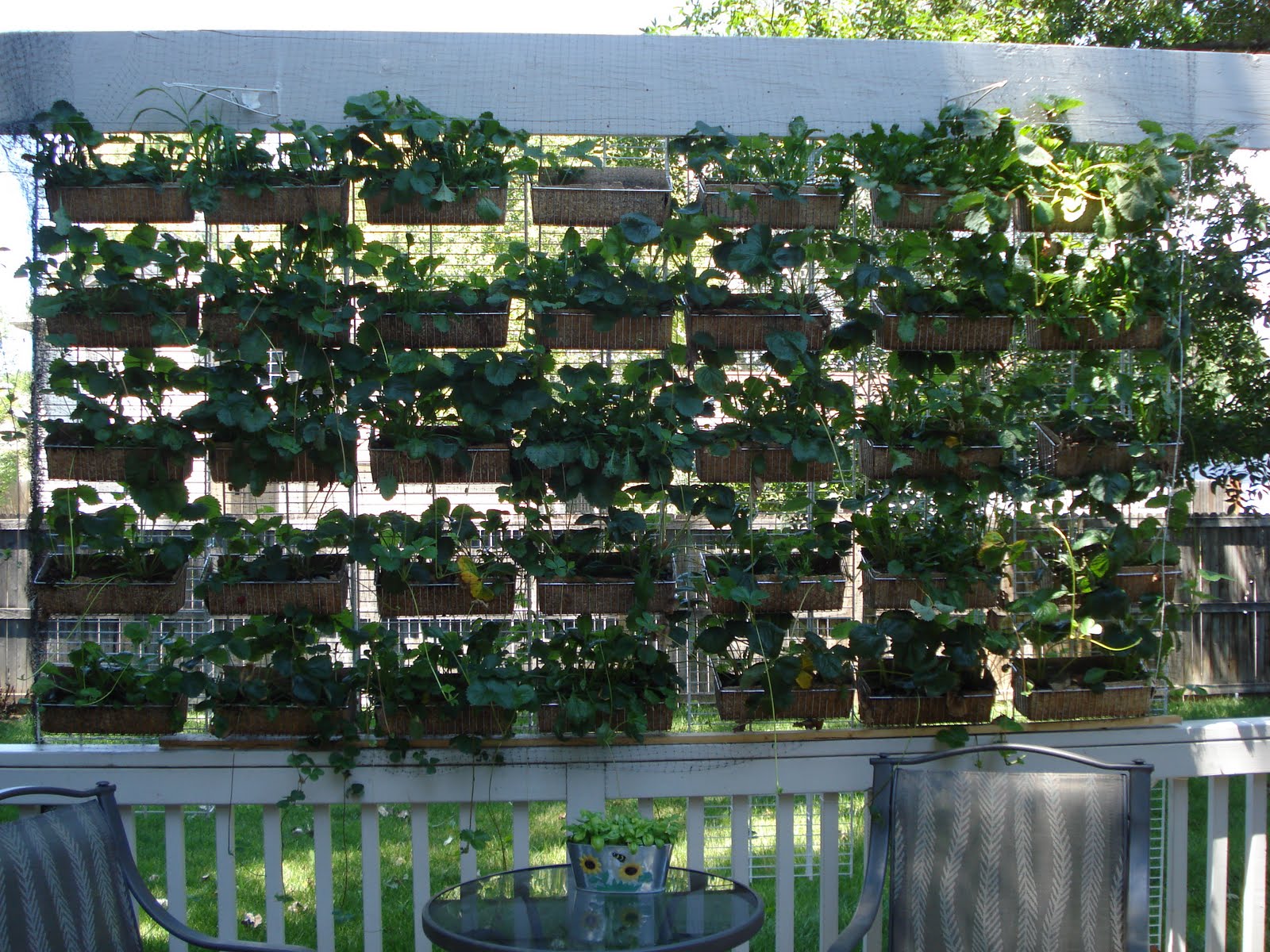 Jodys ReCreations The Garden is Growing!