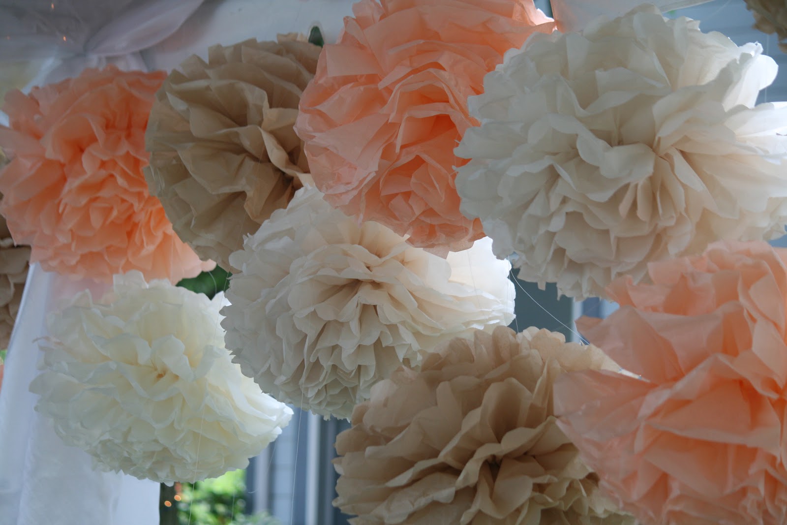 Brown Bunny Flowers { brian and bonnie } august 18