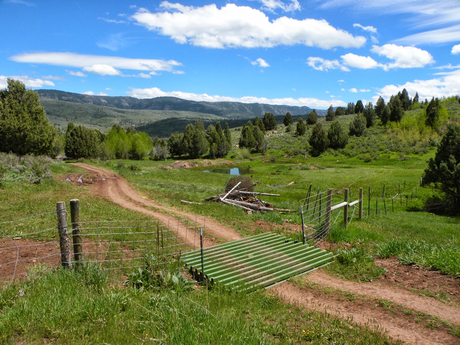 Dream Packer Trail Adventures Blacksmith Fork Canyon, Utah