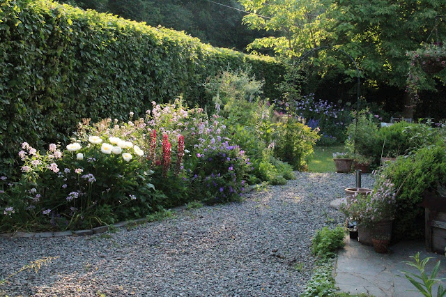 All Spiree Arguta Taille Powiat Bielsko Biala