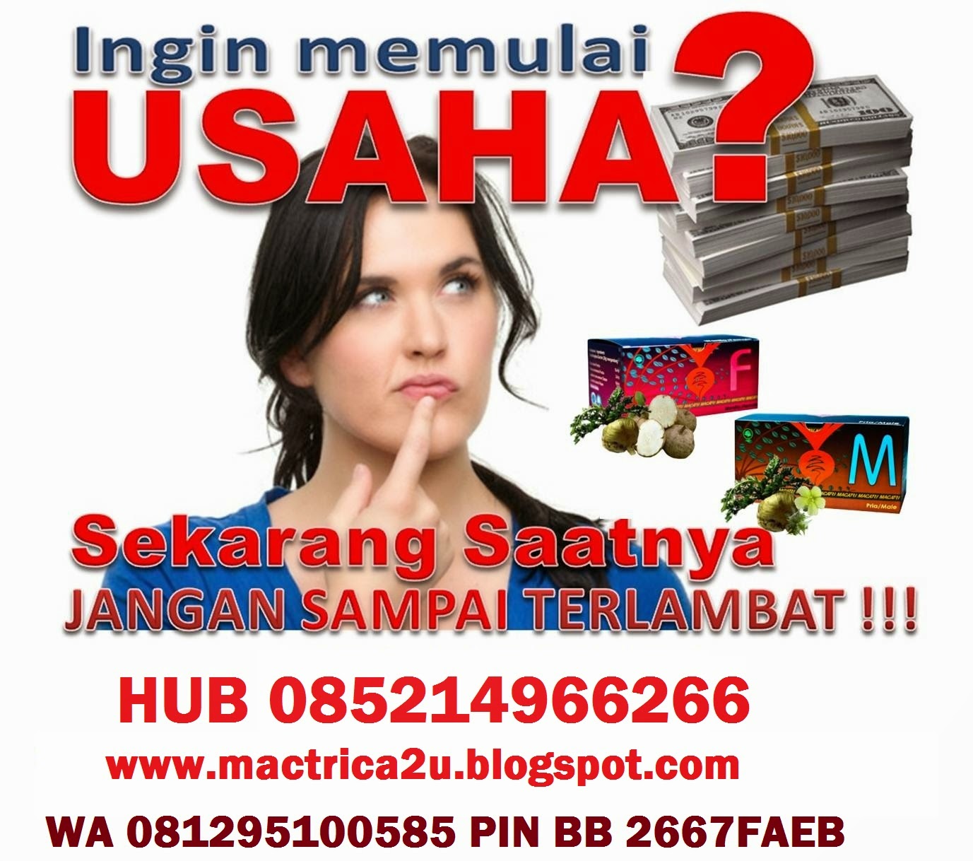 Peluang Usaha MacTriCa