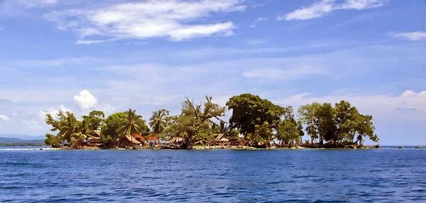 As Director Of Adventure Island In Hittyville Tommy Is