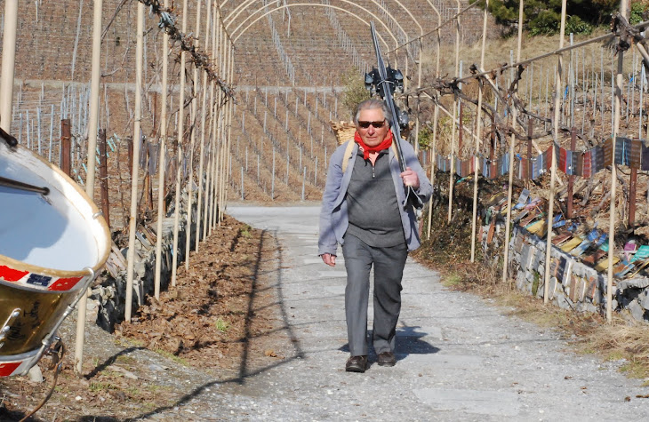 SYLVAIN SAUDAN PREMIERE DES PREMIERES DANS LA SUD DE LA VIGNE A FARINET