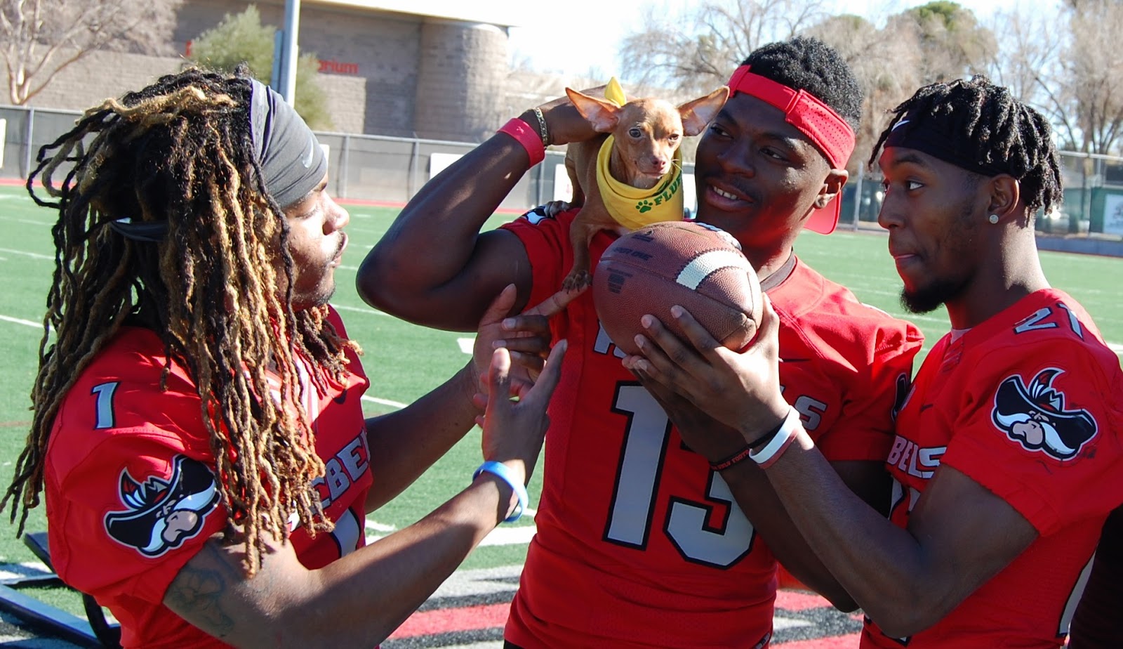 UNLV Rebel Football boosting Magic's Puppy Bowl training!