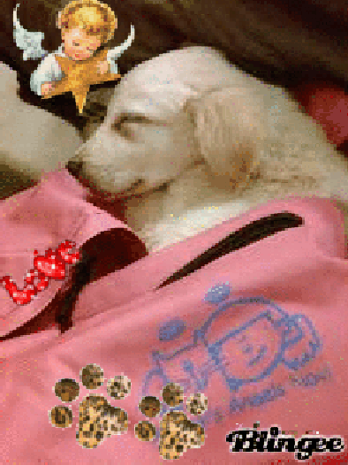 Buona notte