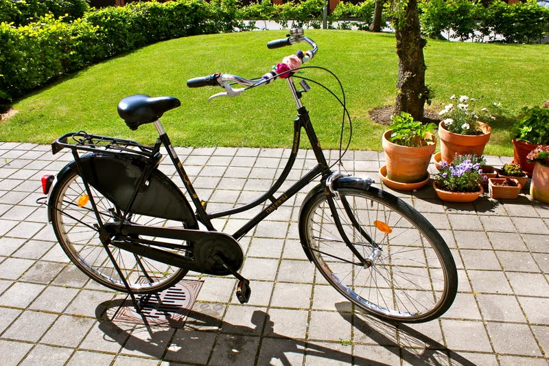 Kamomilla vanilla: maj 2011 Lille cykel til pynt