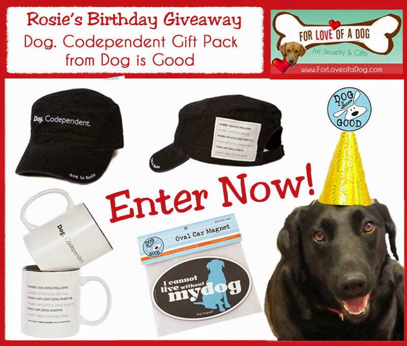 Talking Dogs at For Love of a Dog Dog Codependent Gift Pack Giveaway