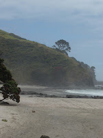 Vue sur le cap reinga depuis spirits bay