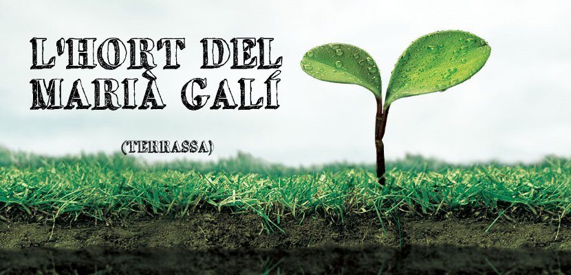 L'hort de l'Escola Marià Galí