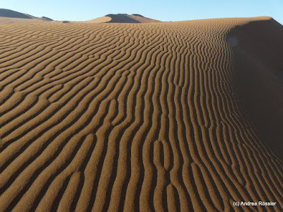Reisen Afrika Namibia Wüste Namib
