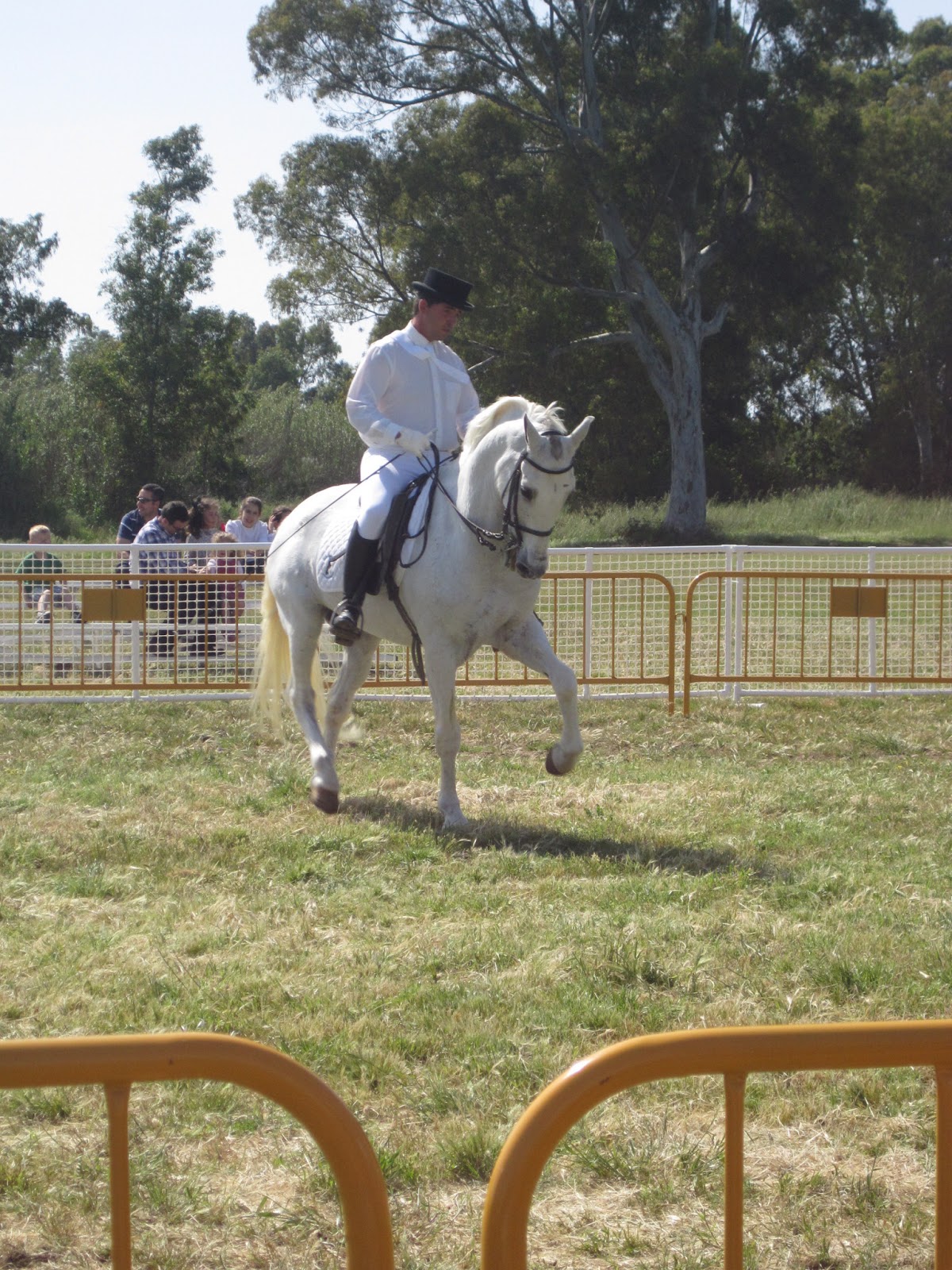 Adventures in Spain Feria How the Spanish celebrate Spring