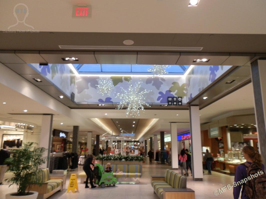 MFS - SNAPSHOTS: CHRISTMAS TIME IN STORES (26 Snapshots)