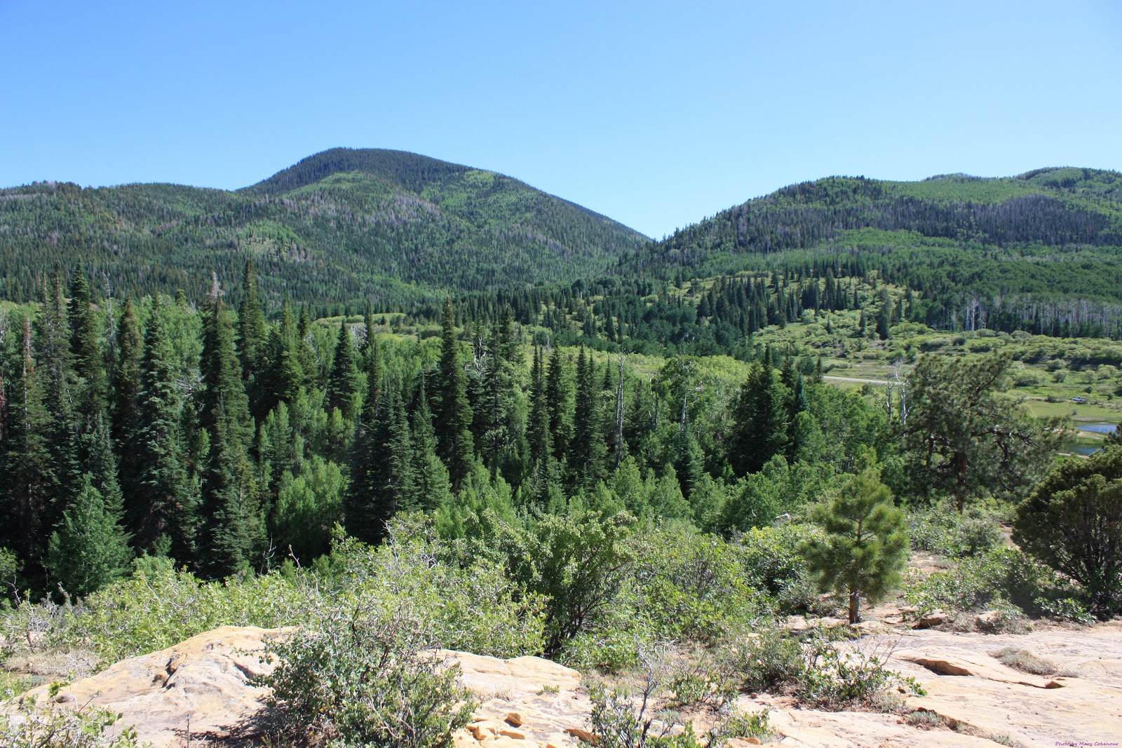 The Southwest Through Wide Brown Eyes Happy Fourth Anniversary of