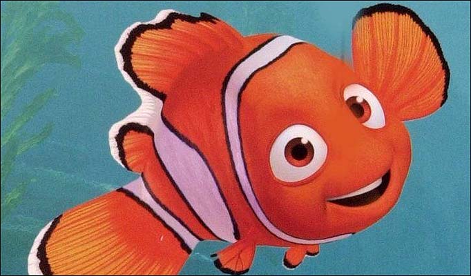 Finding Nemo Dad