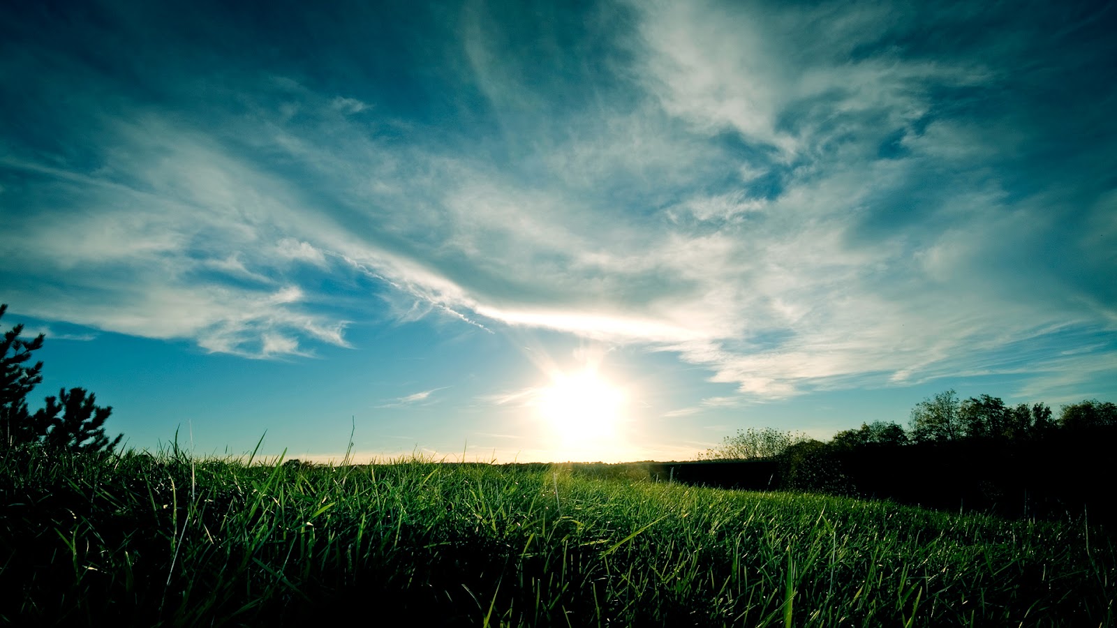 http://2.bp.blogspot.com/-DM2TlH73RVU/T6E67fTh53I/AAAAAAAAAF4/WB5LsTByj9Q/s1600/Nature-Full-HD-Wallpaper-Background-Laptop-Desktop.jpg