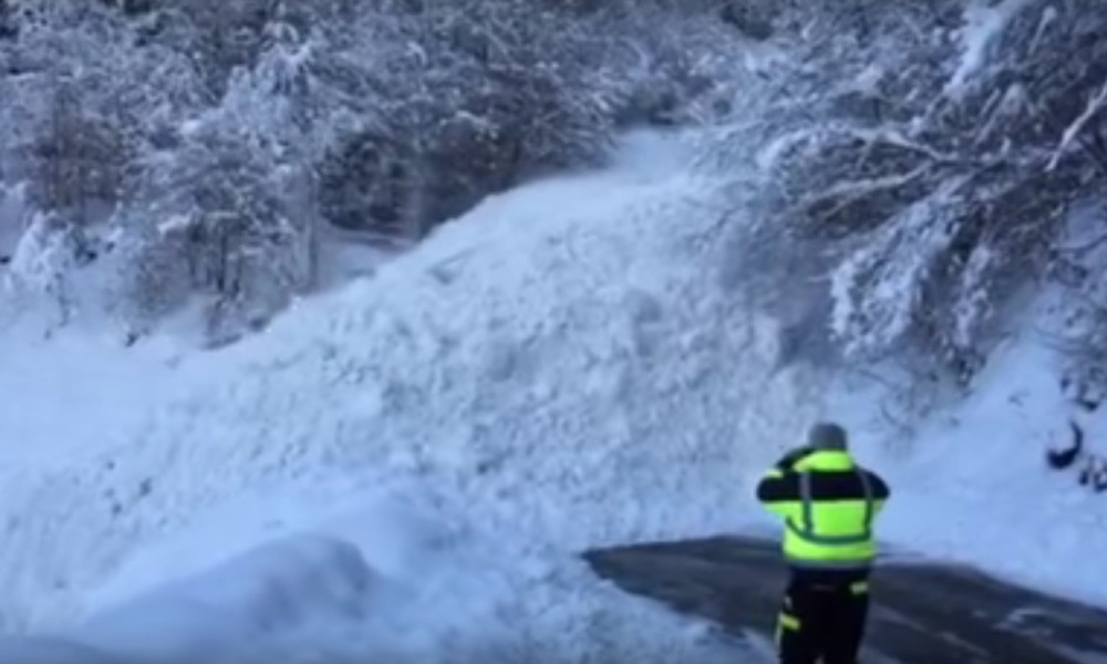 Interesting Slow Moving Avalanche...Listen To The Trees Breaking Interesting Slow Moving Avalanche...Listen To The Trees Breaking