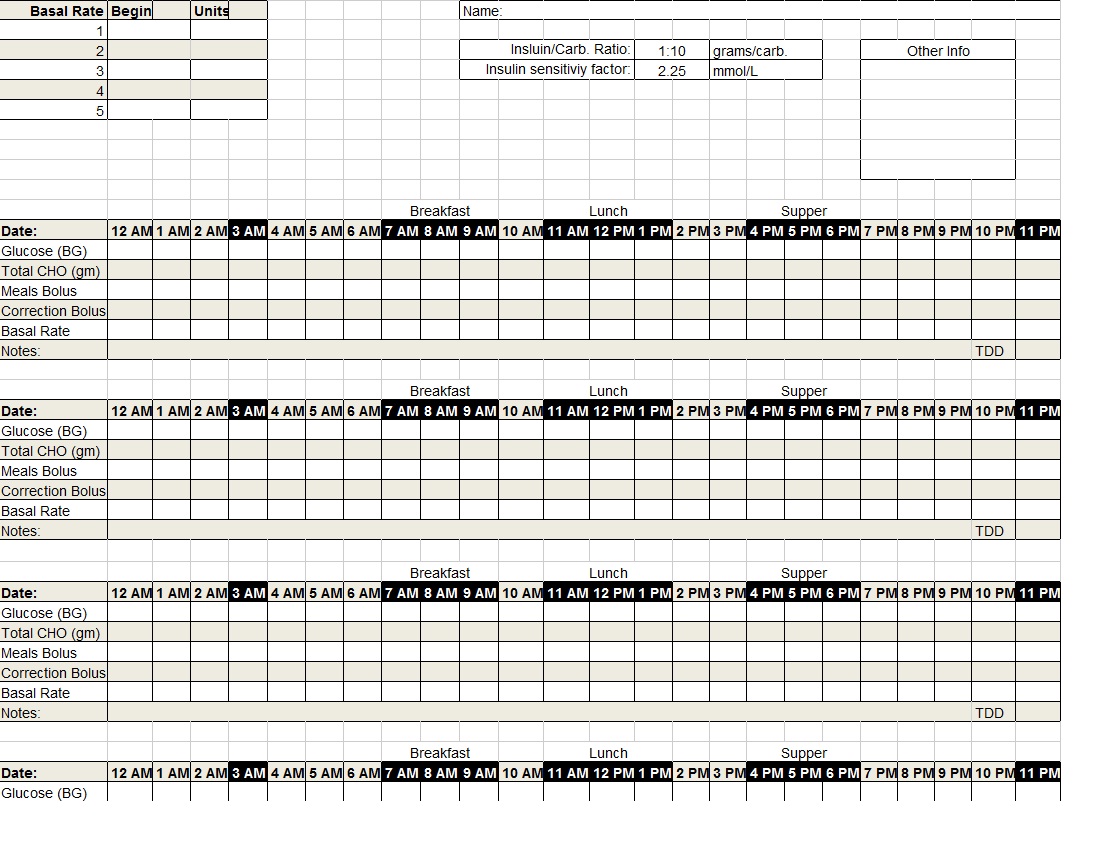 Diabetes Log Template diabetic log book template related keywords diabetic log