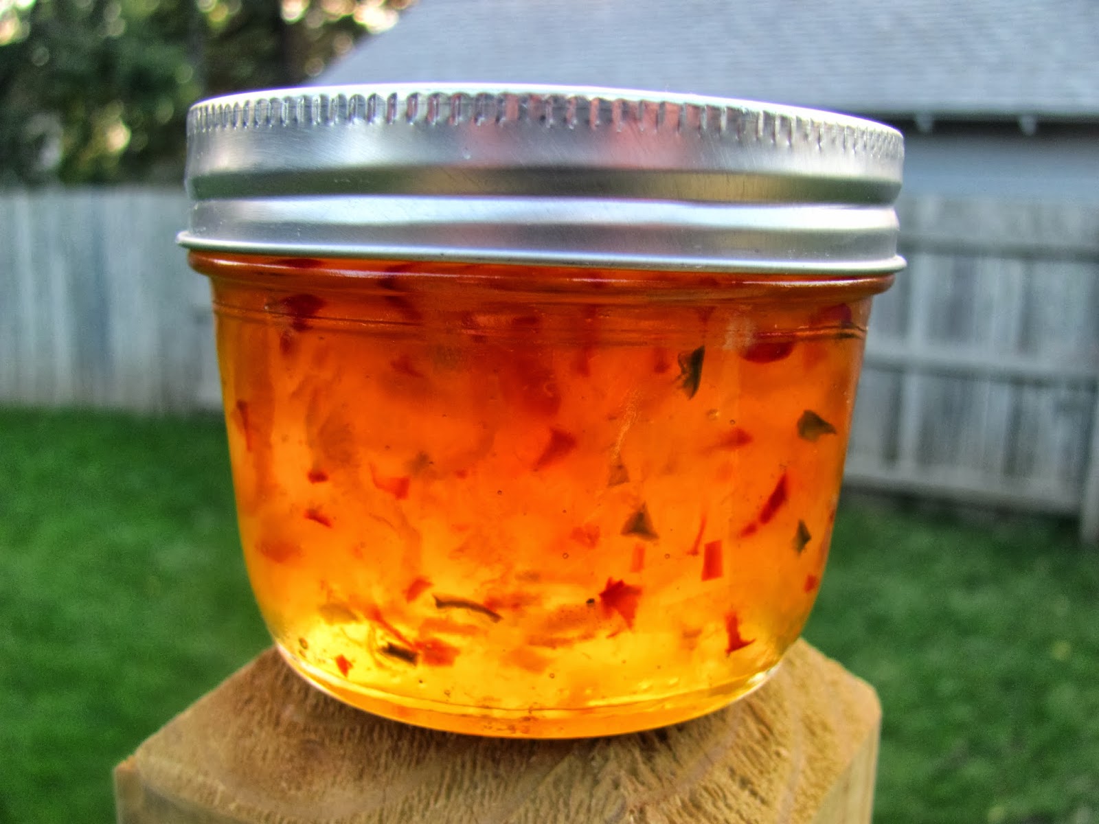 Sweet Domesticity Apricot + Habanero Pepper Jelly