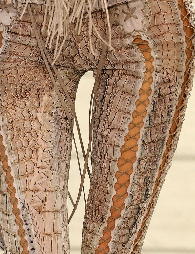 roberto cavalli 2011