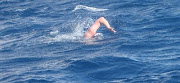 I knew the swim wasn't going to be easy. Quite frankly if you must know, .