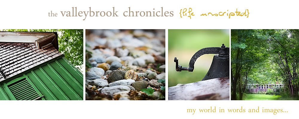 Valleybrook Chronicles