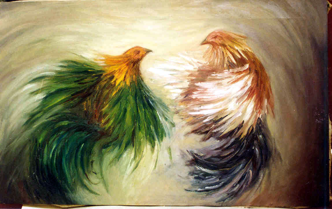 Gallo Peleando