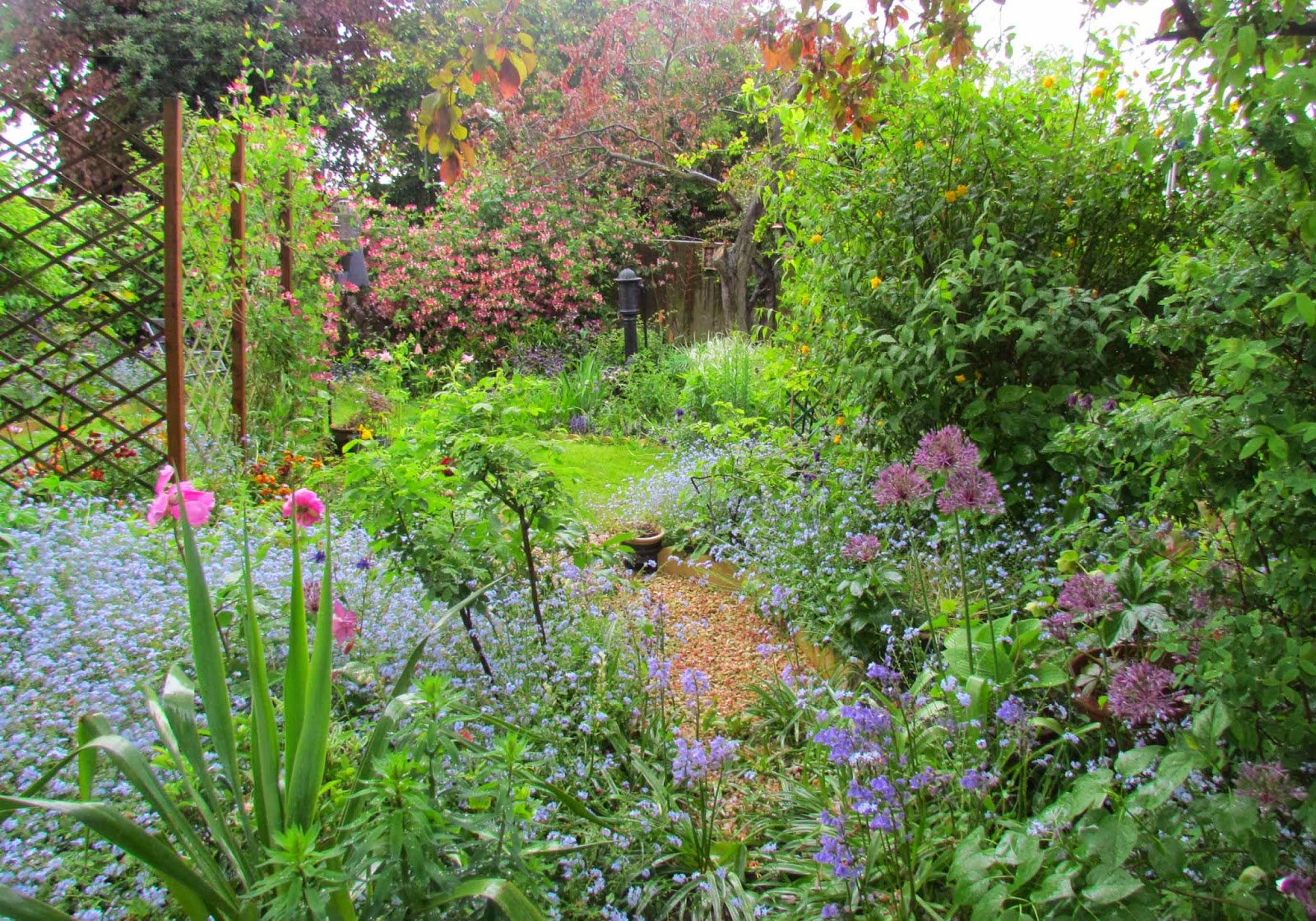 Woodlouse House The Wet Garden
