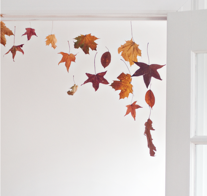 {kensington blue} mostly photography and a little bit of everything