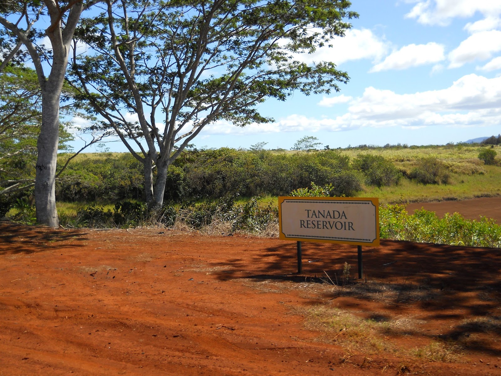 so much to choose from Ann Pineapple Farm on Oahu