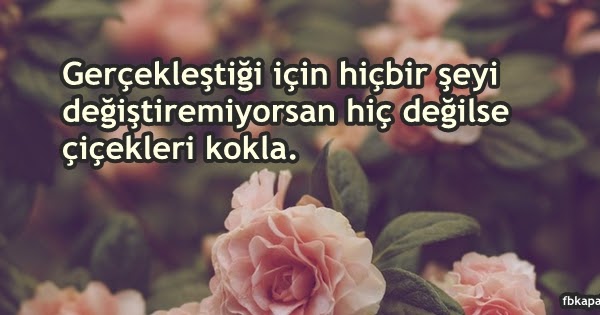 Hiç Değilse Çiçekleri Kokla Kapak Fotoğrafı - Facebook Kapak