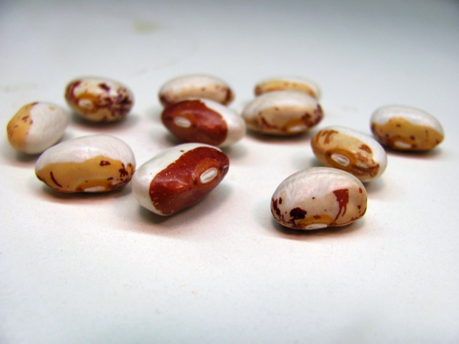 Sweet Domesticity Cooking with Hidatsa Shield Figure Beans