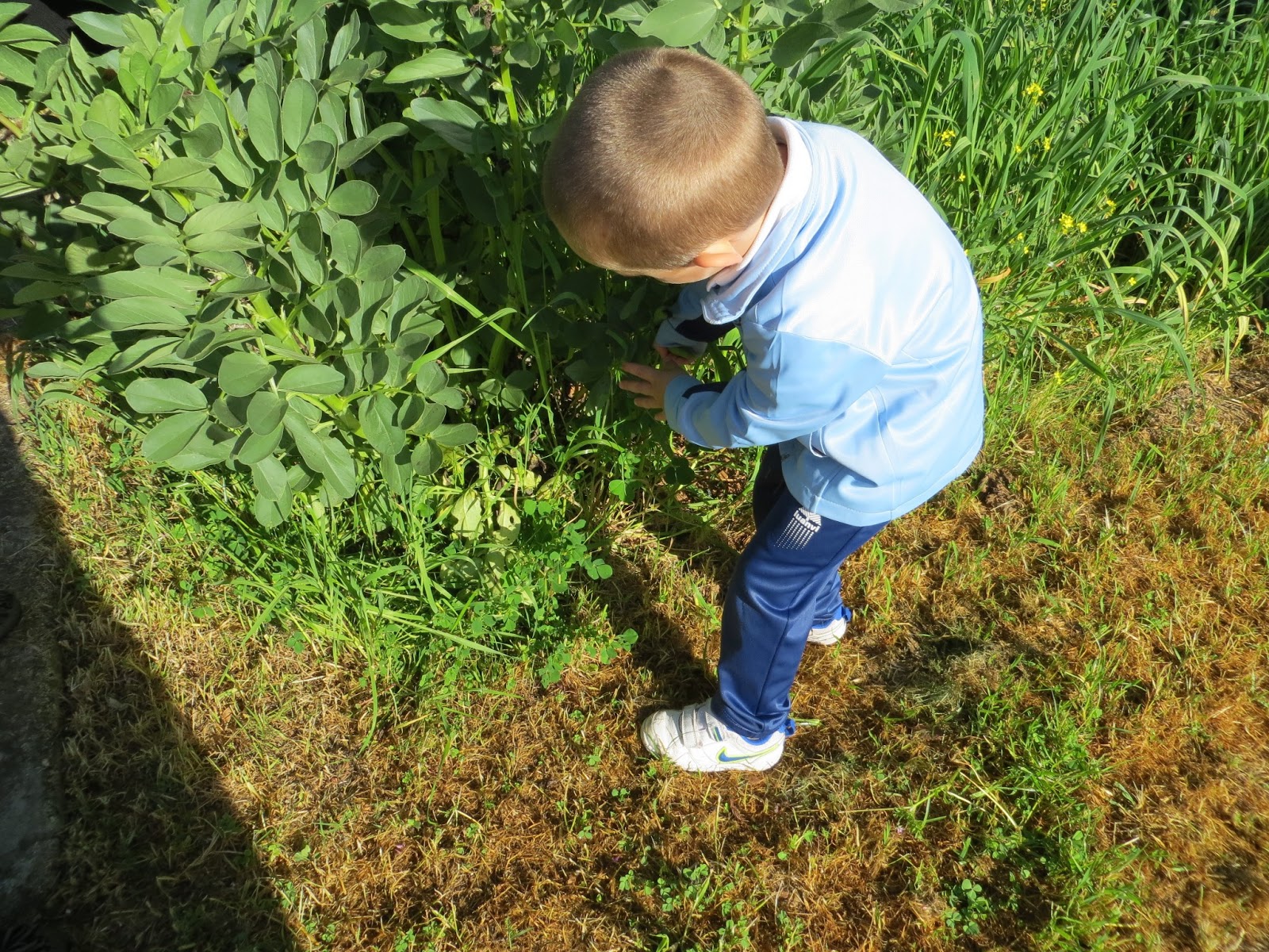 CPR.BEMBEZAR: LA PRIMAVERA HA LLEGADO A CÉSPEDES