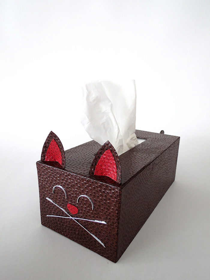 How to make a cat tissue box cover