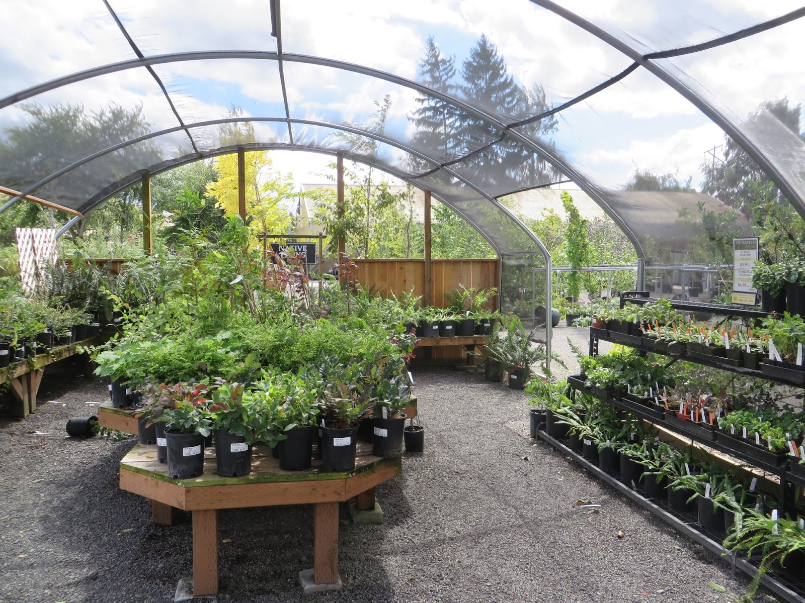 Portland Nursery Visit The Natives