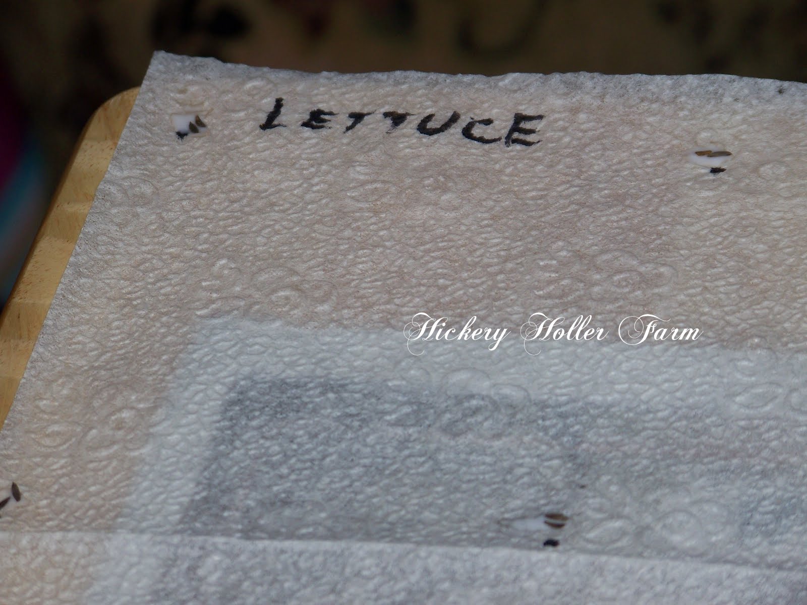 Hickery Holler Farm Making Seed Mats