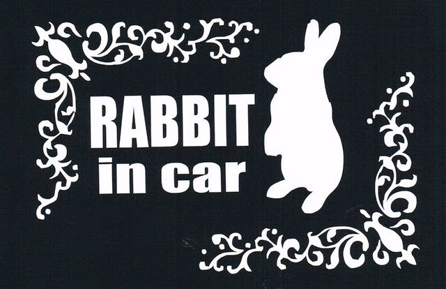 tawsi nin dunyasi tavsanlar ve otomobil