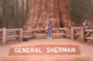 general sherman